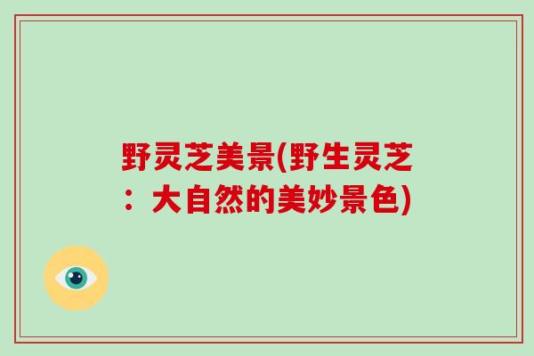 野灵芝美景(野生灵芝:大自然的美妙景色)-第1张图片-破壁灵芝孢子粉研究指南 野灵芝美景(野生灵芝:大自然的美妙景色)-第1张图片-破壁灵芝孢子粉研究指南