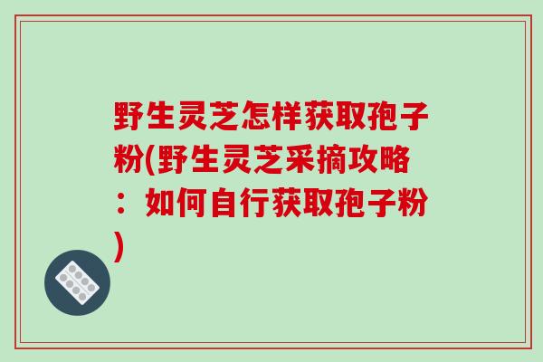 野生灵芝怎样获取孢子粉(野生灵芝采摘攻略:如何自行获取孢子粉)-第1张图片-破壁灵芝孢子粉研究指南 野生灵芝怎样获取孢子粉(野生灵芝采摘攻略:如何自行获取孢子粉)-第1张图片-破壁灵芝孢子粉研究指南