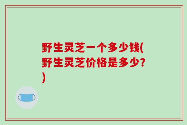 野生灵芝一个多少钱(野生灵芝价格是多少?)-第1张图片-破壁灵芝孢子粉研究指南 野生灵芝一个多少钱(野生灵芝价格是多少?)-第1张图片-破壁灵芝孢子粉研究指南