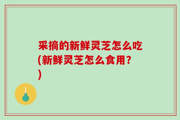 采摘的新鲜灵芝怎么吃(新鲜灵芝怎么食用?)-第1张图片-破壁灵芝孢子粉研究指南 采摘的新鲜灵芝怎么吃(新鲜灵芝怎么食用?)-第1张图片-破壁灵芝孢子粉研究指南