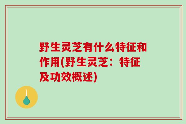 野生灵芝有什么特征和作用(野生灵芝:特征及功效概述)-第1张图片-破壁灵芝孢子粉研究指南 野生灵芝有什么特征和作用(野生灵芝:特征及功效概述)-第1张图片-破壁灵芝孢子粉研究指南