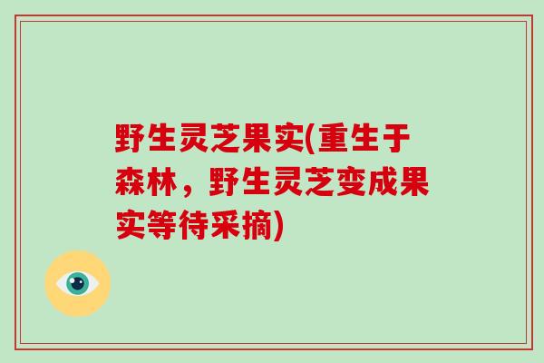 野生灵芝果实(重生于森林,野生灵芝变成果实等待采摘)-第1张图片-破壁灵芝孢子粉研究指南 野生灵芝果实(重生于森林,野生灵芝变成果实等待采摘)-第1张图片-破壁灵芝孢子粉研究指南