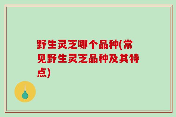 野生灵芝哪个品种(常见野生灵芝品种及其特点)-第1张图片-破壁灵芝孢子粉研究指南 野生灵芝哪个品种(常见野生灵芝品种及其特点)-第1张图片-破壁灵芝孢子粉研究指南