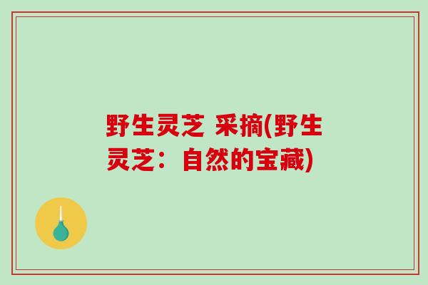 野生灵芝 采摘(野生灵芝:自然的宝藏)-第1张图片-破壁灵芝孢子粉研究指南 野生灵芝 采摘(野生灵芝:自然的宝藏)-第1张图片-破壁灵芝孢子粉研究指南