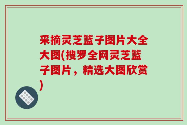 采摘灵芝篮子图片大全大图(搜罗全网灵芝篮子图片,精选大图欣赏)-第1张图片-破壁灵芝孢子粉研究指南 采摘灵芝篮子图片大全大图(搜罗全网灵芝篮子图片,精选大图欣赏)-第1张图片-破壁灵芝孢子粉研究指南