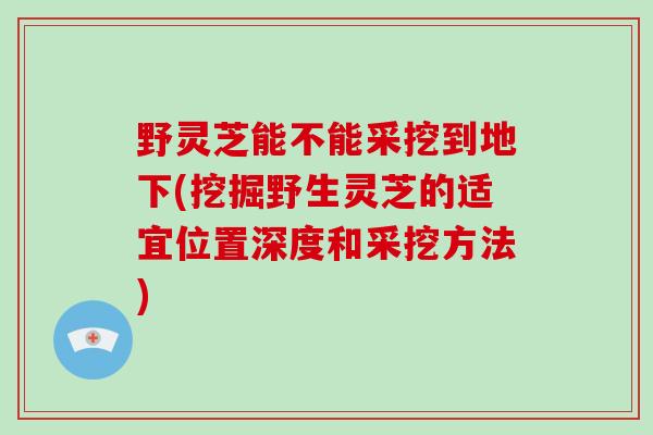 野灵芝能不能采挖到地下(挖掘野生灵芝的适宜位置深度和采挖方法)-第1张图片-破壁灵芝孢子粉研究指南 野灵芝能不能采挖到地下(挖掘野生灵芝的适宜位置深度和采挖方法)-第1张图片-破壁灵芝孢子粉研究指南