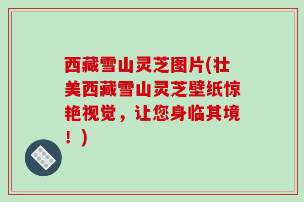 西藏雪山灵芝图片(壮美西藏雪山灵芝壁纸惊艳视觉,让您身临其境!)-第1张图片-破壁灵芝孢子粉研究指南 西藏雪山灵芝图片(壮美西藏雪山灵芝壁纸惊艳视觉,让您身临其境!)-第1张图片-破壁灵芝孢子粉研究指南