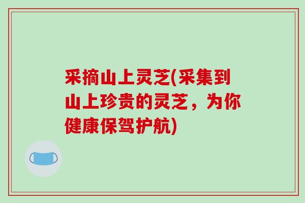 采摘山上灵芝(采集到山上珍贵的灵芝,为你健康保驾护航)-第1张图片-破壁灵芝孢子粉研究指南 采摘山上灵芝(采集到山上珍贵的灵芝,为你健康保驾护航)-第1张图片-破壁灵芝孢子粉研究指南