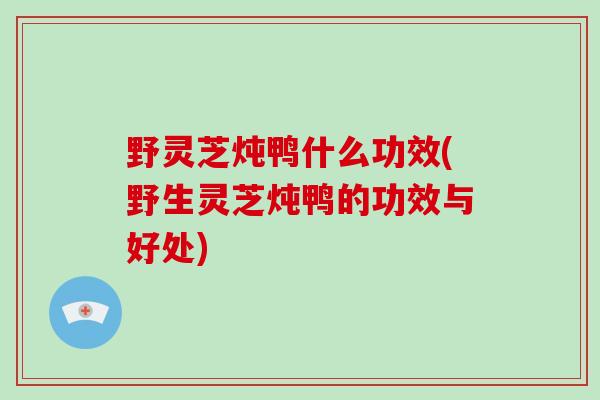 野灵芝炖鸭什么功效(野生灵芝炖鸭的功效与好处)-第1张图片-破壁灵芝孢子粉研究指南 野灵芝炖鸭什么功效(野生灵芝炖鸭的功效与好处)-第1张图片-破壁灵芝孢子粉研究指南