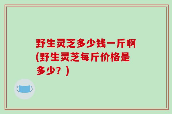 野生灵芝多少钱一斤啊(野生灵芝每斤价格是多少?)-第1张图片-破壁灵芝孢子粉研究指南 野生灵芝多少钱一斤啊(野生灵芝每斤价格是多少?)-第1张图片-破壁灵芝孢子粉研究指南