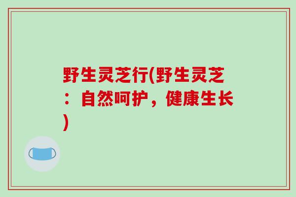 野生灵芝行(野生灵芝:自然呵护,健康生长)-第1张图片-破壁灵芝孢子粉研究指南 野生灵芝行(野生灵芝:自然呵护,健康生长)-第1张图片-破壁灵芝孢子粉研究指南