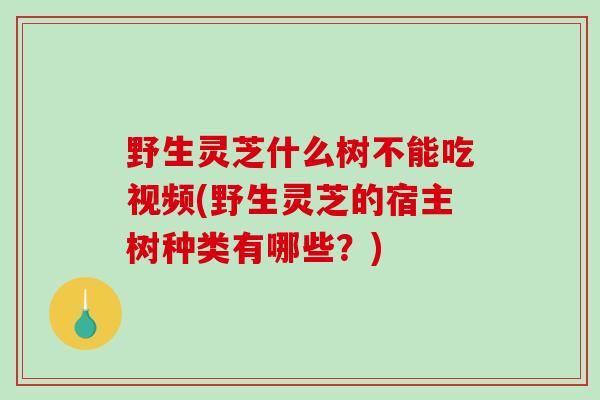 野生灵芝什么树不能吃视频(野生灵芝的宿主树种类有哪些?)-第1张图片-破壁灵芝孢子粉研究指南 野生灵芝什么树不能吃视频(野生灵芝的宿主树种类有哪些?)-第1张图片-破壁灵芝孢子粉研究指南