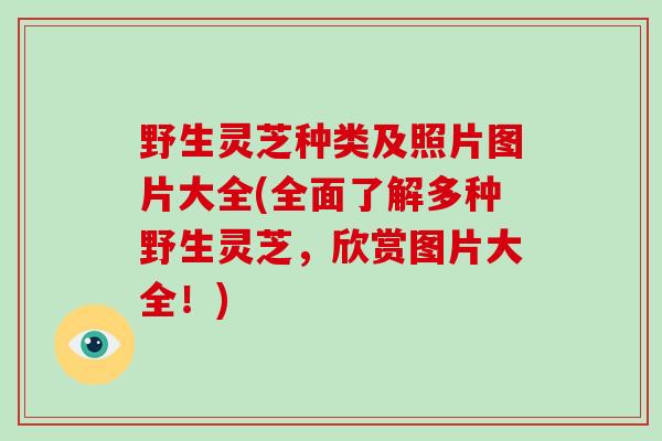 野生灵芝种类及照片图片大全(全面了解多种野生灵芝,欣赏图片大全!)-第1张图片-破壁灵芝孢子粉研究指南 野生灵芝种类及照片图片大全(全面了解多种野生灵芝,欣赏图片大全!)-第1张图片-破壁灵芝孢子粉研究指南