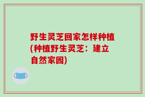 野生灵芝回家怎样种植(种植野生灵芝:建立自然家园)-第1张图片-破壁灵芝孢子粉研究指南 野生灵芝回家怎样种植(种植野生灵芝:建立自然家园)-第1张图片-破壁灵芝孢子粉研究指南