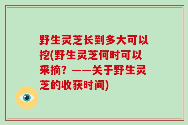 野生灵芝长到多大可以挖(野生灵芝何时可以采摘？——关于野生灵芝的收获时间)-第1张图片-破壁灵芝孢子粉研究指南