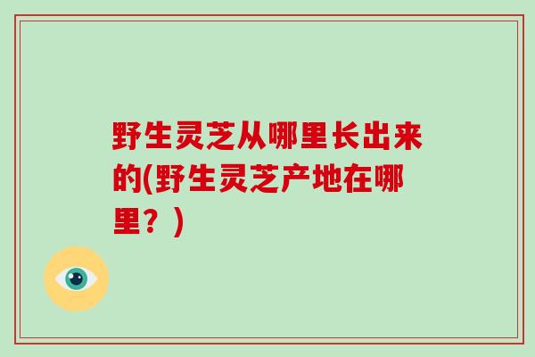野生灵芝从哪里长出来的(野生灵芝产地在哪里？)-第1张图片-破壁灵芝孢子粉研究指南