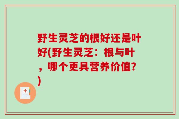 野生灵芝的根好还是叶好(野生灵芝:根与叶,哪个更具营养价值?)-第1张图片-破壁灵芝孢子粉研究指南 野生灵芝的根好还是叶好(野生灵芝:根与叶,哪个更具营养价值?)-第1张图片-破壁灵芝孢子粉研究指南