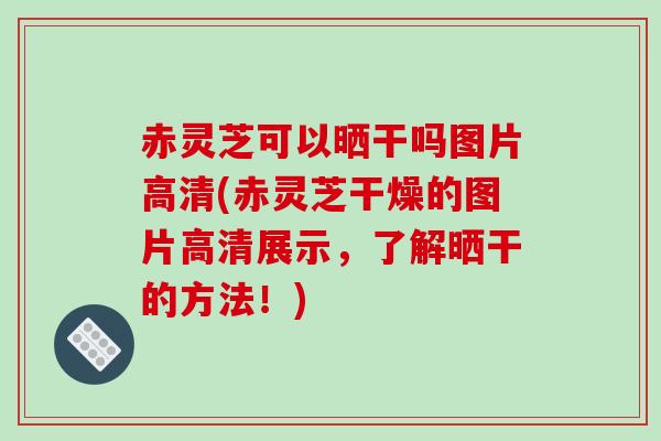 赤灵芝可以晒干吗图片高清(赤灵芝干燥的图片高清展示，了解晒干的方法！)-第1张图片-破壁灵芝孢子粉研究指南