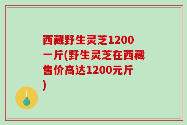西藏野生灵芝1200一斤(野生灵芝在西藏售价高达1200元斤)-第1张图片-破壁灵芝孢子粉研究指南 西藏野生灵芝1200一斤(野生灵芝在西藏售价高达1200元斤)-第1张图片-破壁灵芝孢子粉研究指南