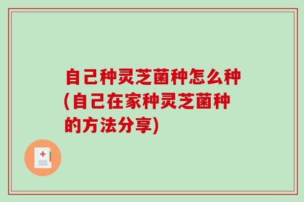 自己种灵芝菌种怎么种(自己在家种灵芝菌种的方法分享)-第1张图片-破壁灵芝孢子粉研究指南 自己种灵芝菌种怎么种(自己在家种灵芝菌种的方法分享)-第1张图片-破壁灵芝孢子粉研究指南