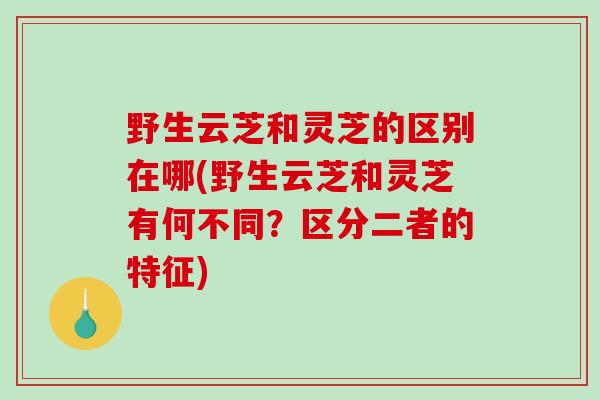 野生云芝和灵芝的区别在哪(野生云芝和灵芝有何不同?区分二者的特征)-第1张图片-破壁灵芝孢子粉研究指南 野生云芝和灵芝的区别在哪(野生云芝和灵芝有何不同?区分二者的特征)-第1张图片-破壁灵芝孢子粉研究指南