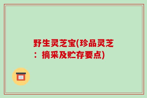 野生灵芝宝(珍品灵芝:摘采及贮存要点)-第1张图片-破壁灵芝孢子粉研究指南 野生灵芝宝(珍品灵芝:摘采及贮存要点)-第1张图片-破壁灵芝孢子粉研究指南