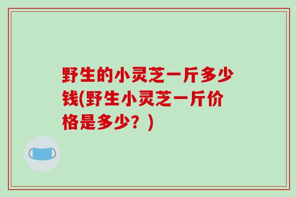 野生的小灵芝一斤多少钱(野生小灵芝一斤价格是多少?)-第1张图片-破壁灵芝孢子粉研究指南 野生的小灵芝一斤多少钱(野生小灵芝一斤价格是多少?)-第1张图片-破壁灵芝孢子粉研究指南