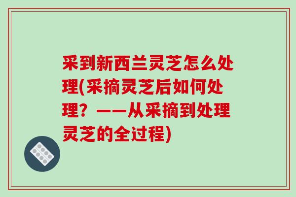 采到新西兰灵芝怎么处理(采摘灵芝后如何处理？——从采摘到处理灵芝的全过程)-第1张图片-破壁灵芝孢子粉研究指南