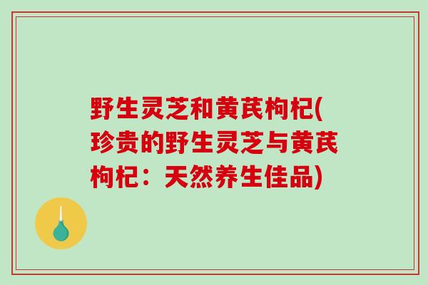 野生灵芝和黄芪枸杞(珍贵的野生灵芝与黄芪枸杞：天然养生佳品)-第1张图片-破壁灵芝孢子粉研究指南