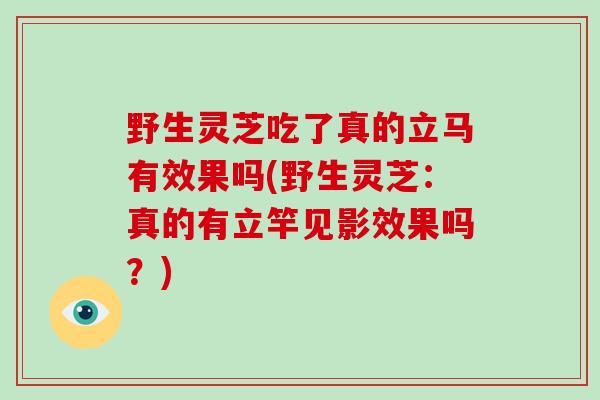 野生灵芝吃了真的立马有效果吗(野生灵芝:真的有立竿见影效果吗?)-第1张图片-破壁灵芝孢子粉研究指南 野生灵芝吃了真的立马有效果吗(野生灵芝:真的有立竿见影效果吗?)-第1张图片-破壁灵芝孢子粉研究指南