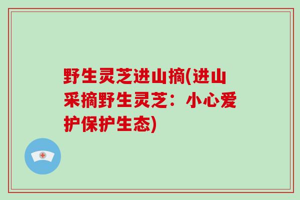 野生灵芝进山摘(进山采摘野生灵芝:小心爱护保护生态)-第1张图片-破壁灵芝孢子粉研究指南 野生灵芝进山摘(进山采摘野生灵芝:小心爱护保护生态)-第1张图片-破壁灵芝孢子粉研究指南