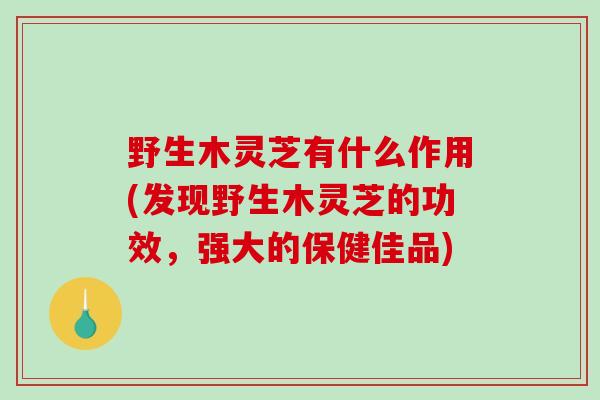 野生木灵芝有什么作用(发现野生木灵芝的功效,强大的保健佳品)-第1张图片-破壁灵芝孢子粉研究指南 野生木灵芝有什么作用(发现野生木灵芝的功效,强大的保健佳品)-第1张图片-破壁灵芝孢子粉研究指南