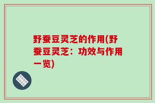 野蚕豆灵芝的作用(野蚕豆灵芝:功效与作用一览)-第1张图片-破壁灵芝孢子粉研究指南 野蚕豆灵芝的作用(野蚕豆灵芝:功效与作用一览)-第1张图片-破壁灵芝孢子粉研究指南