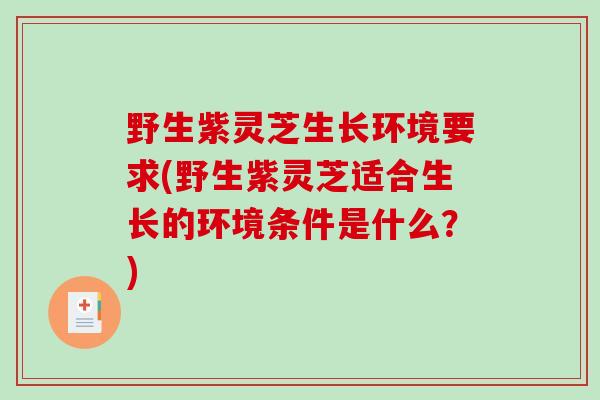野生紫灵芝生长环境要求(野生紫灵芝适合生长的环境条件是什么?)-第1张图片-破壁灵芝孢子粉研究指南 野生紫灵芝生长环境要求(野生紫灵芝适合生长的环境条件是什么?)-第1张图片-破壁灵芝孢子粉研究指南