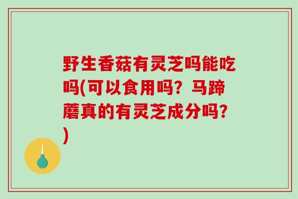 野生香菇有灵芝吗能吃吗(可以食用吗?马蹄蘑真的有灵芝成分吗?)-第1张图片-破壁灵芝孢子粉研究指南 野生香菇有灵芝吗能吃吗(可以食用吗?马蹄蘑真的有灵芝成分吗?)-第1张图片-破壁灵芝孢子粉研究指南