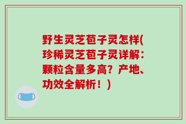 野生灵芝苞子灵怎样(珍稀灵芝苞子灵详解：颗粒含量多高？产地、功效全解析！)-第1张图片-破壁灵芝孢子粉研究指南