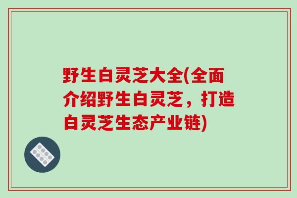 野生白灵芝大全(全面介绍野生白灵芝，打造白灵芝生态产业链)-第1张图片-破壁灵芝孢子粉研究指南