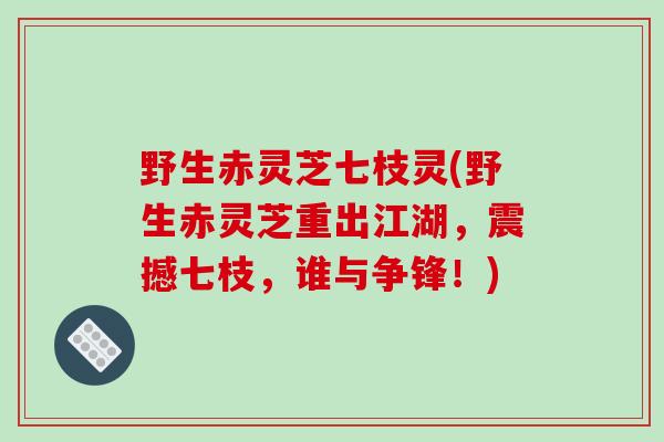 野生赤灵芝七枝灵(野生赤灵芝重出江湖，震撼七枝，谁与争锋！)-第1张图片-破壁灵芝孢子粉研究指南