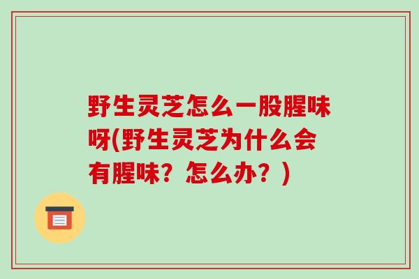 野生灵芝怎么一股腥味呀(野生灵芝为什么会有腥味？怎么办？)-第1张图片-破壁灵芝孢子粉研究指南