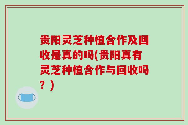 贵阳灵芝种植合作及回收是真的吗(贵阳真有灵芝种植合作与回收吗？)-第1张图片-破壁灵芝孢子粉研究指南