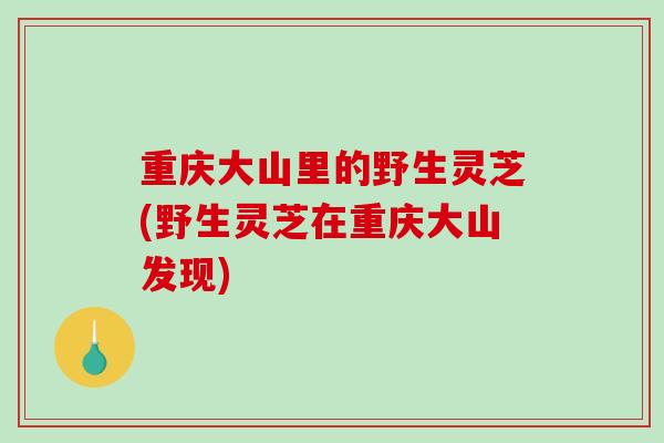 重庆大山里的野生灵芝(野生灵芝在重庆大山发现)-第1张图片-破壁灵芝孢子粉研究指南 重庆大山里的野生灵芝(野生灵芝在重庆大山发现)-第1张图片-破壁灵芝孢子粉研究指南