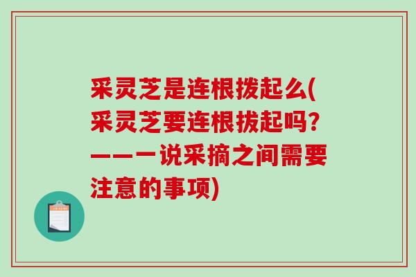 采灵芝是连根拨起么(采灵芝要连根拔起吗?——一说采摘之间需要注意的事项)-第1张图片-破壁灵芝孢子粉研究指南 采灵芝是连根拨起么(采灵芝要连根拔起吗?——一说采摘之间需要注意的事项)-第1张图片-破壁灵芝孢子粉研究指南