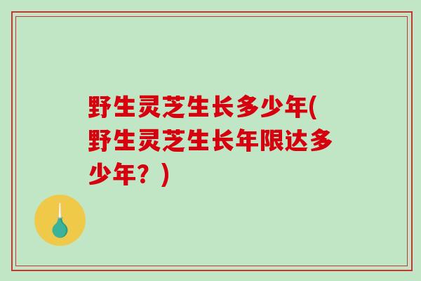 野生灵芝生长多少年(野生灵芝生长年限达多少年?)-第1张图片-破壁灵芝孢子粉研究指南 野生灵芝生长多少年(野生灵芝生长年限达多少年?)-第1张图片-破壁灵芝孢子粉研究指南