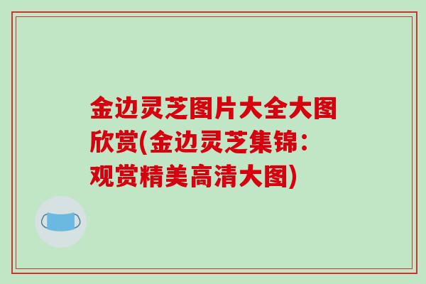 金边灵芝图片大全大图欣赏(金边灵芝集锦:观赏精美高清大图)-第1张图片-破壁灵芝孢子粉研究指南 金边灵芝图片大全大图欣赏(金边灵芝集锦:观赏精美高清大图)-第1张图片-破壁灵芝孢子粉研究指南