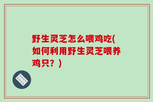 野生灵芝怎么喂鸡吃(如何利用野生灵芝喂养鸡只？)-第1张图片-破壁灵芝孢子粉研究指南