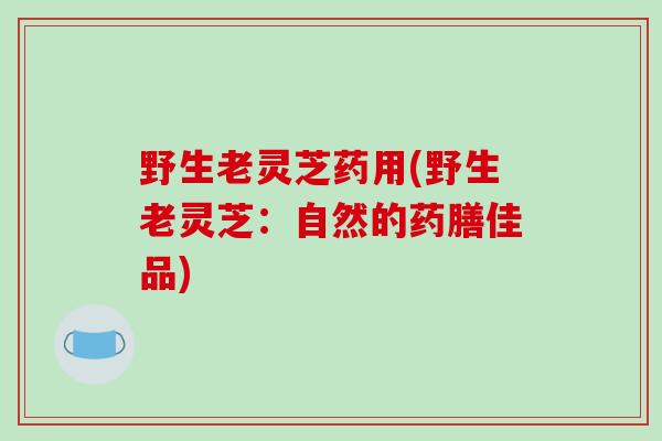 野生老灵芝药用(野生老灵芝：自然的药膳佳品)-第1张图片-破壁灵芝孢子粉研究指南