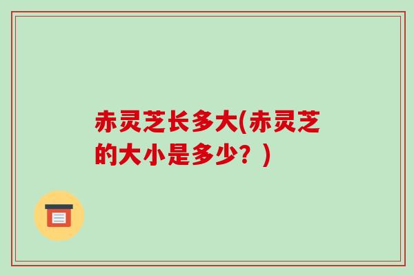 赤灵芝长多大(赤灵芝的大小是多少?)-第1张图片-破壁灵芝孢子粉研究指南 赤灵芝长多大(赤灵芝的大小是多少?)-第1张图片-破壁灵芝孢子粉研究指南