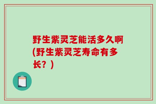 野生紫灵芝能活多久啊(野生紫灵芝寿命有多长?)-第1张图片-破壁灵芝孢子粉研究指南 野生紫灵芝能活多久啊(野生紫灵芝寿命有多长?)-第1张图片-破壁灵芝孢子粉研究指南