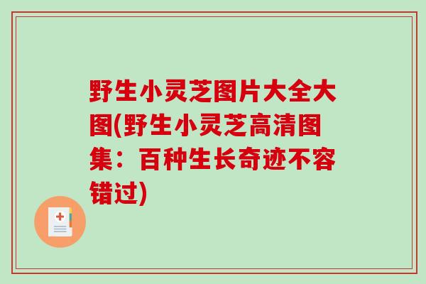 野生小灵芝图片大全大图(野生小灵芝高清图集:百种生长奇迹不容错过)-第1张图片-破壁灵芝孢子粉研究指南 野生小灵芝图片大全大图(野生小灵芝高清图集:百种生长奇迹不容错过)-第1张图片-破壁灵芝孢子粉研究指南