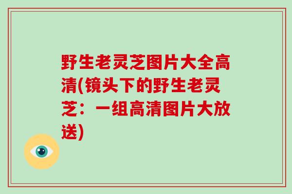 野生老灵芝图片大全高清(镜头下的野生老灵芝:一组高清图片大放送)-第1张图片-破壁灵芝孢子粉研究指南 野生老灵芝图片大全高清(镜头下的野生老灵芝:一组高清图片大放送)-第1张图片-破壁灵芝孢子粉研究指南